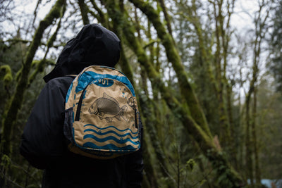 TORRAIN Recycled Bags, Designed in Portland, Oregon : Small backpack in yellow fish colorway print worn on someone out hiking in the Pacific Northweat